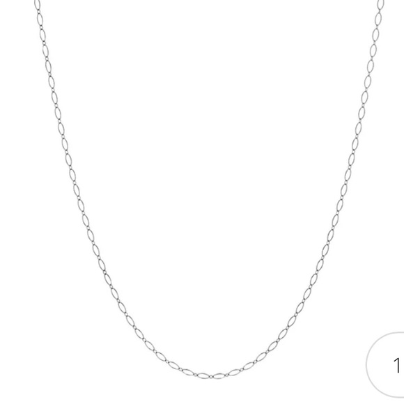 Tiffany & Co. Jewelry - Tiffany White Gold 24” Oval Link Chain Necklace